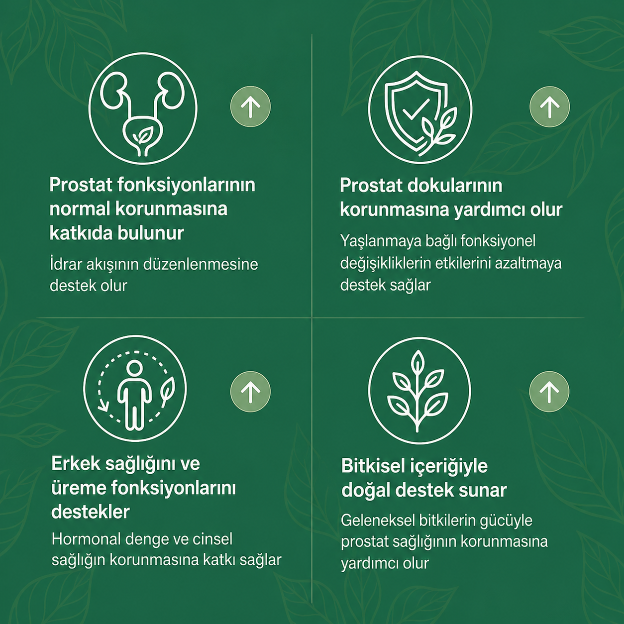 Prosse Bitkisel Prostat Macunu