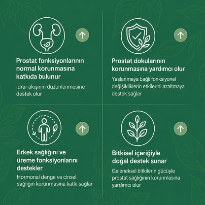Prosse Bitkisel Prostat Macunu